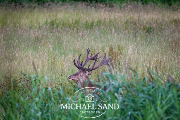 Den "fabrikerede" sag!