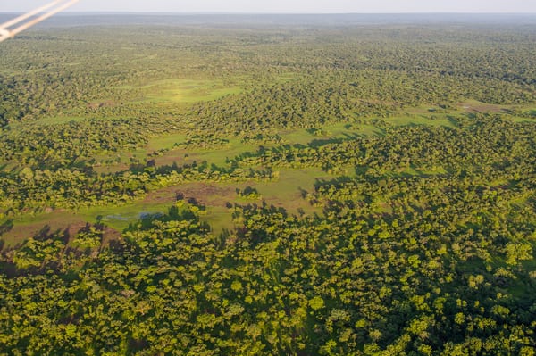 Droner ind i kampen mod krybskytter Droner ind i kampen mod krybskytter