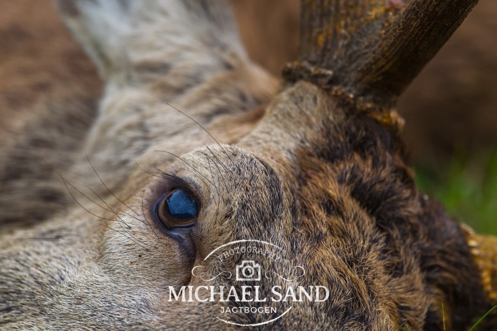 Læserbrev: Kludder i afstemning 14ender