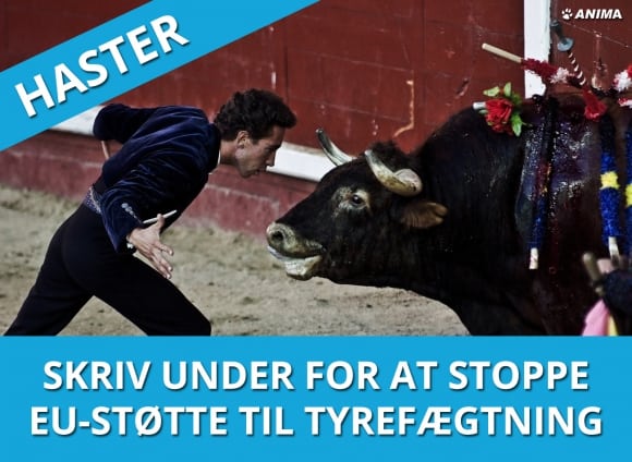 Tyrefægtning mister EU tilskud EU bidrag06