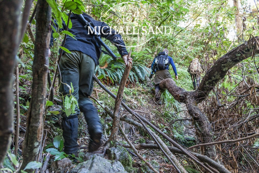 Hvorfor sker der jagtulykker i New Zealand? NZ2