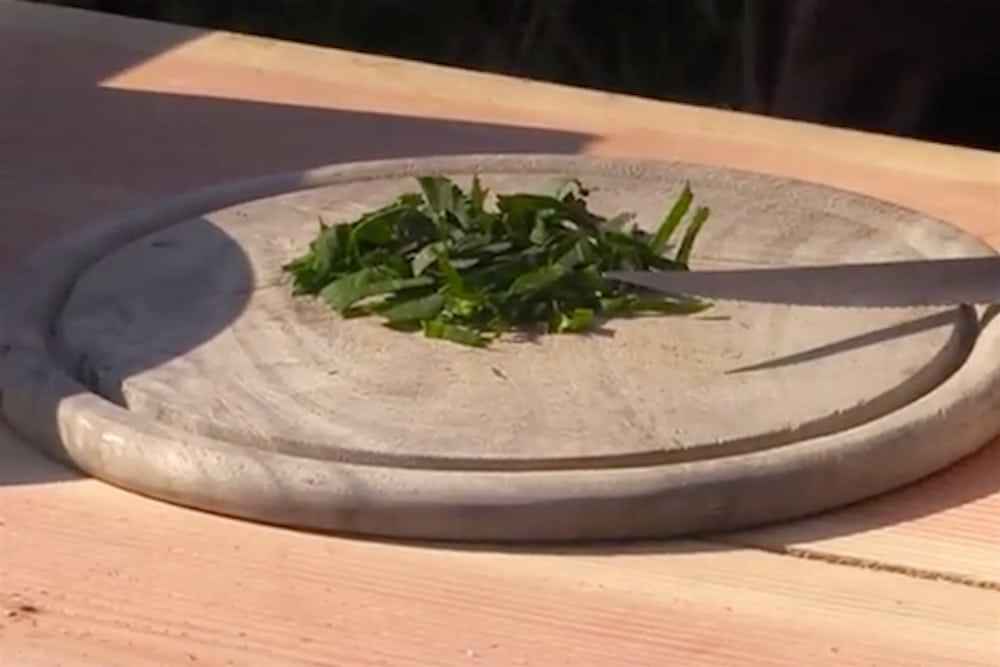 Pesto af strandkarse