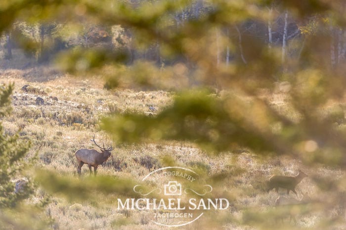 Laksen overtager Le Chameau