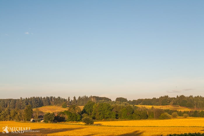 Den nye finanslov er en gaveregn til landbruget Finanslov