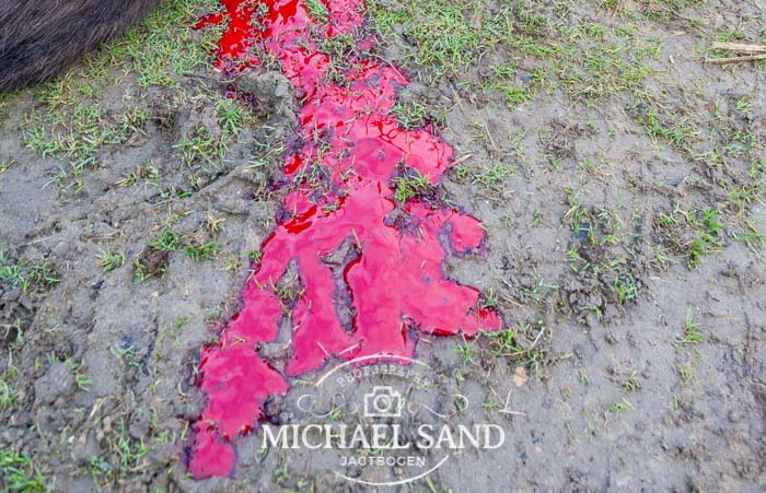 Jæger overfaldet af krybskytte Jæger overfaldet af krybskytte