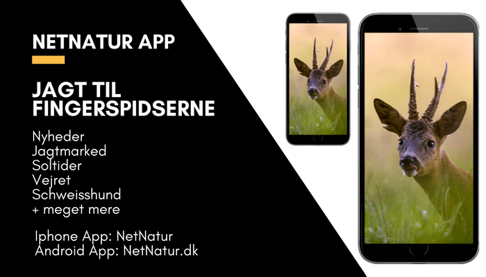 Apps fra Netnatur – med dig overalt