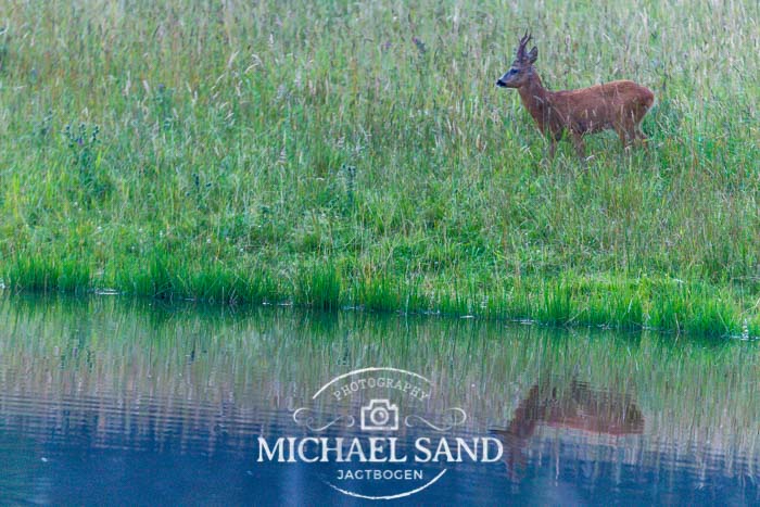 Fejlagtige kvælstofmålinger en bombe under landbrugspakken