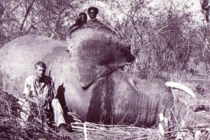Historie: Den sidste elefantjæger i Afrika