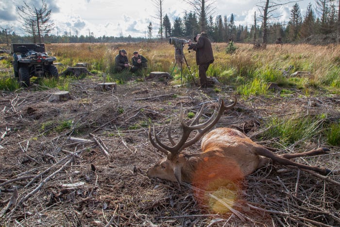 Universiteters forskning og rådgivning skal i udbud