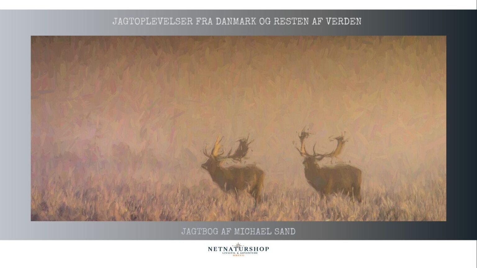 Maleriske stjernstunder