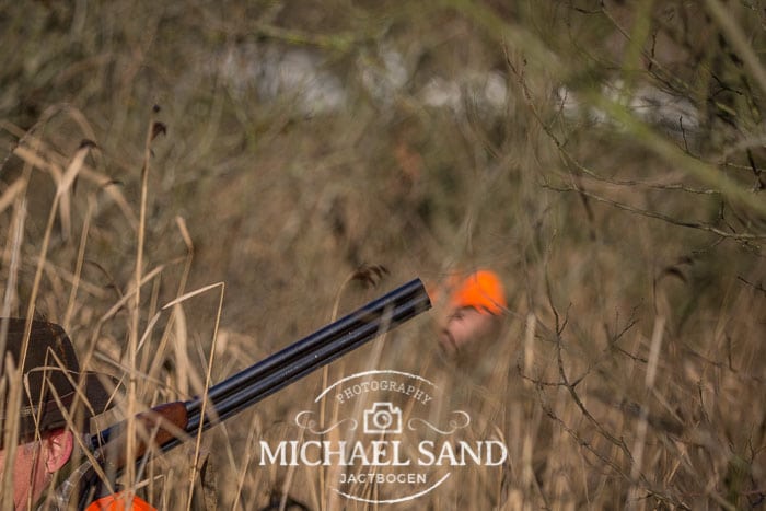 Viden om: Forsikring via jagttegnet