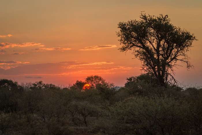22.455 besøg på én enkelt dag