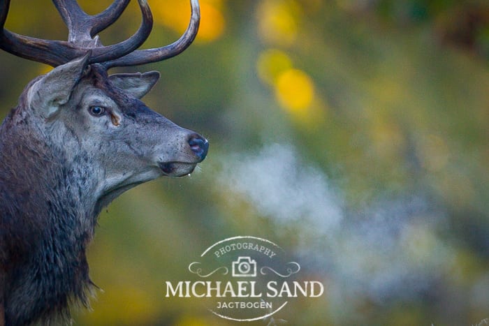 Netnatur.dk Kvindbjergvej 19 Dannerhøj 9320 Hjallerup