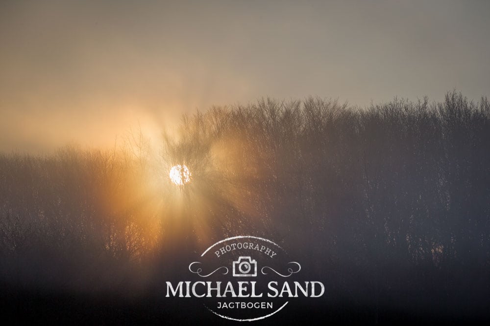 Vådeskudsulykke for højesteret Hjortesag i høring