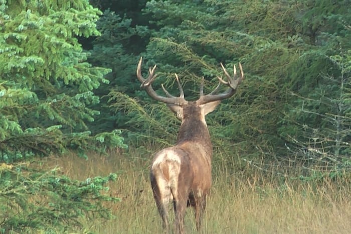 Arealbegrænsning og bestandstørrelse