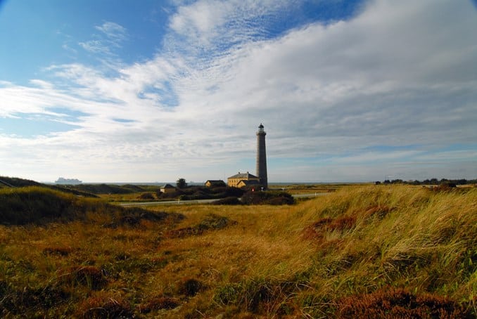 Nyt træfuglecenter åbner i Skagen