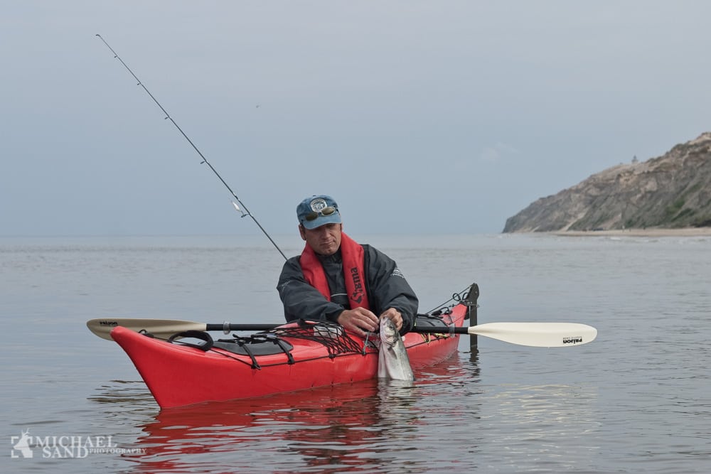 Regeringens Natura 2000-planer svigter havet