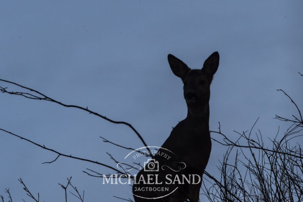 Deltagerne var sparpe