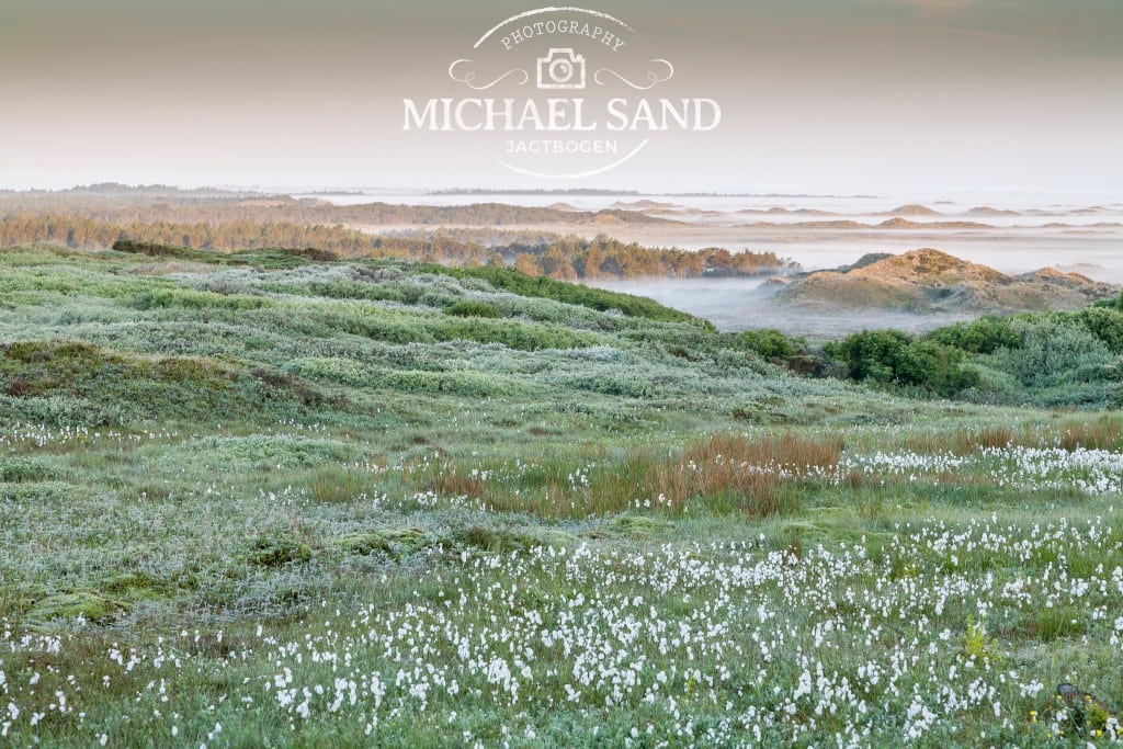 Regeringen giver 1,8 mia. kr. til bedre natur