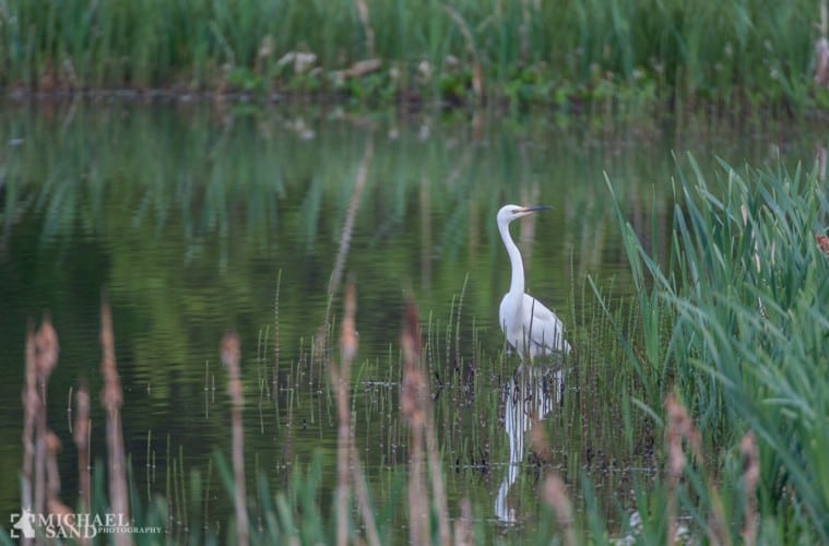Information om de danske søer og vandløb