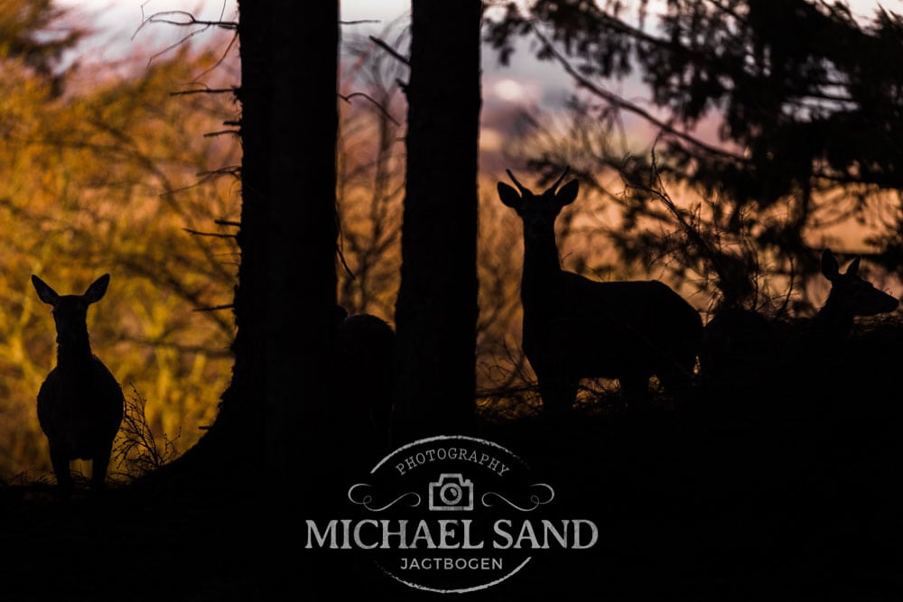 DNH modtager det røde kort på de sociale medier