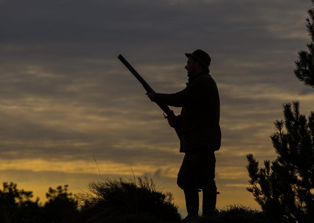 Støtte fremfor blomster