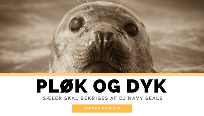 DJ Navy Seals er nu en realitet