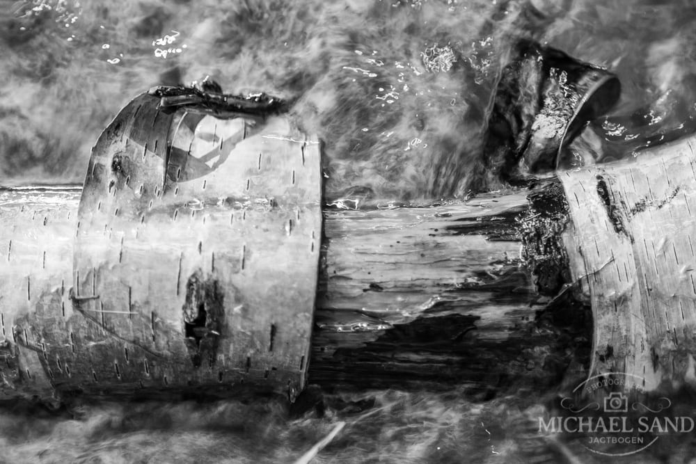 Pokémon-jæger gør makabert fund