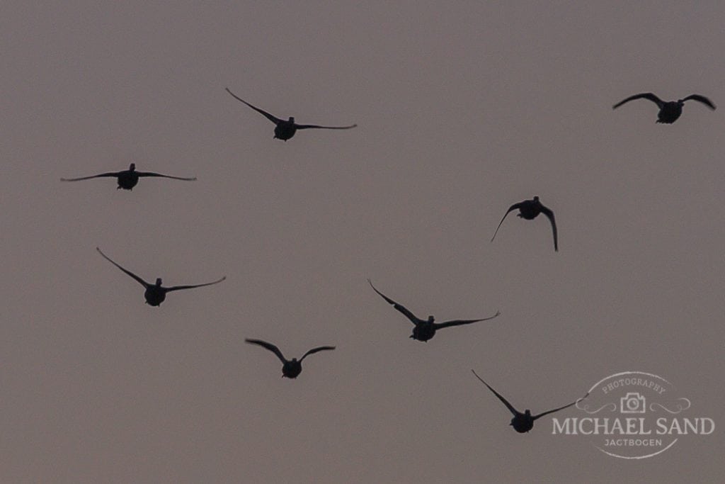 Kontrolsystemet virker