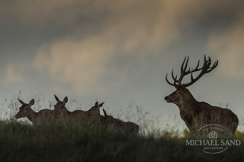 BL: Derfor er arealbegrænsning i strid med lovgivningen