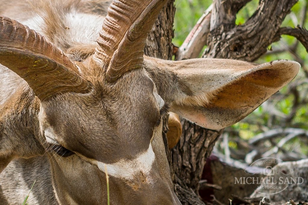 Man kan også sno sig selv ihjel