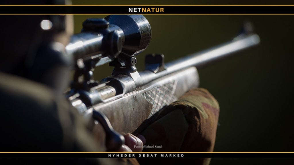 Ændringer i den franske våbenlov