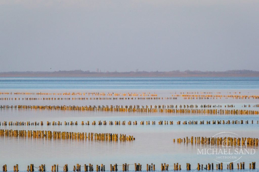 Blæst gav mindre iltsvind