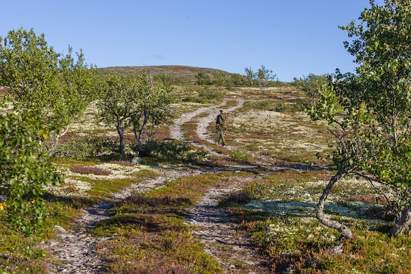 Lav din egen Hede-bjesk