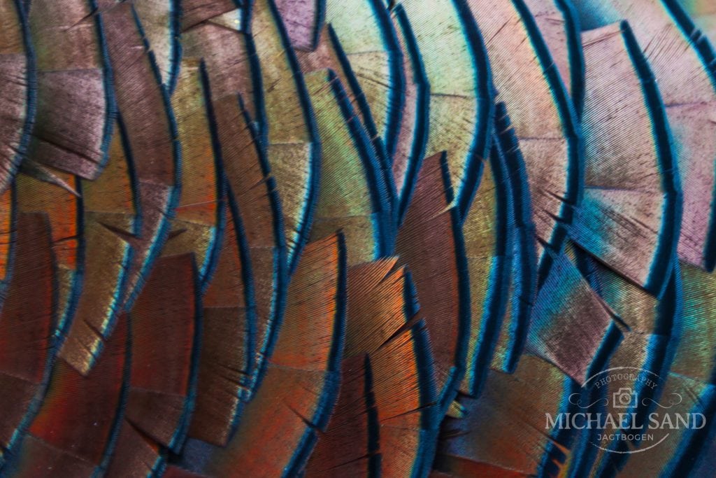 Verdens måske mest specialiserede jagtrejsebureau