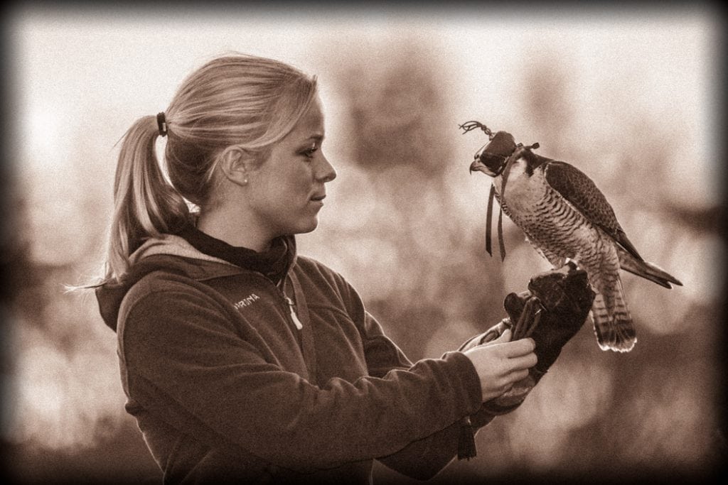 Jægerne i Slideshow