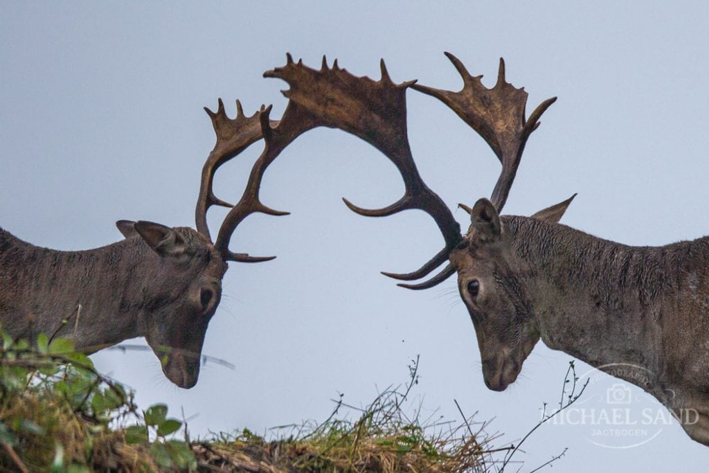 Ingen dårlige jagtformer