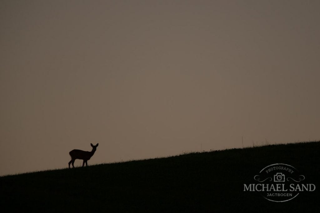 Jagtens farlige spøgelsesbilist