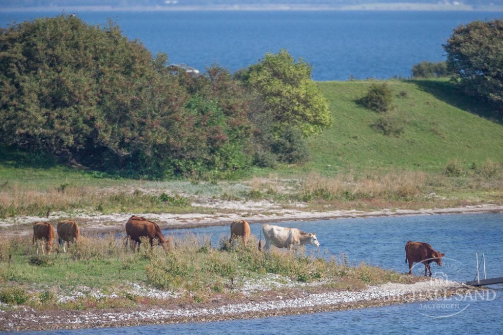 Samarbejde skal styrke naturen