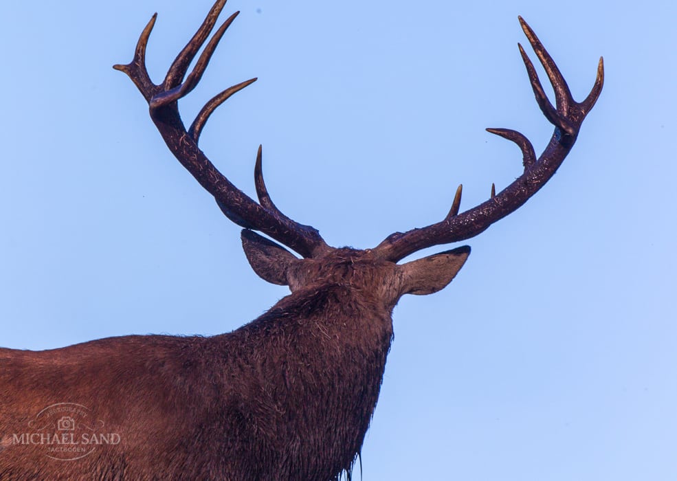 Besvarelse af rejst kritik efterlyses Besvarelse af rejst kritik efterlyses