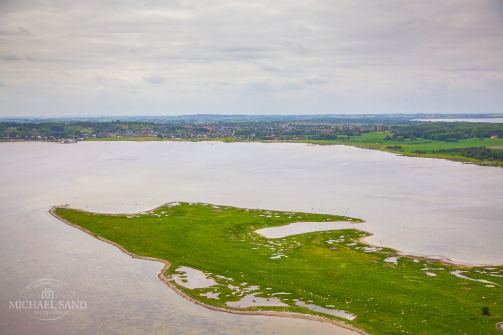 Skal danske kyster beskyttes?