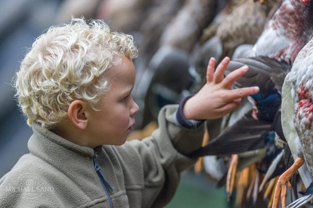 Jagt og fiskeri på skoleskemaet Jagt og fiskeri på skoleskemaet