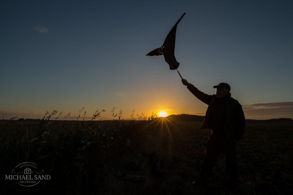 The American way of dansk vildtforvaltning