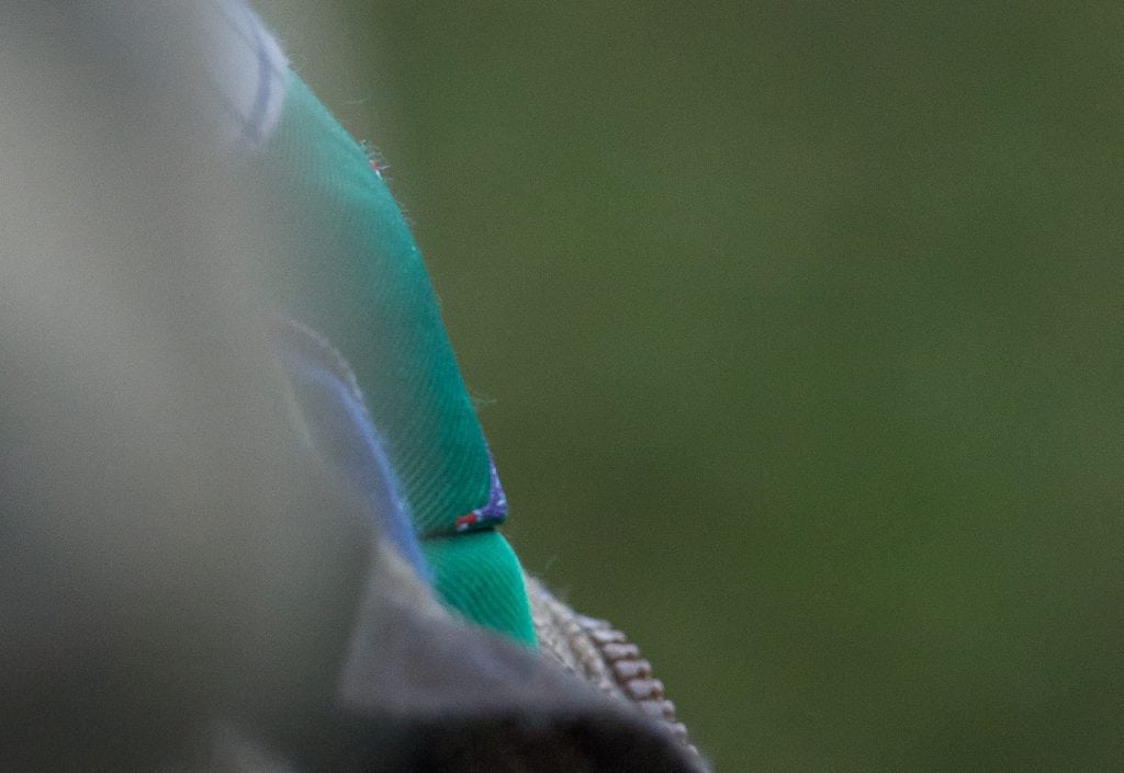 Hvordan var Beckham klædt under jagten? Hvordan var Beckingham klædt under jagten?