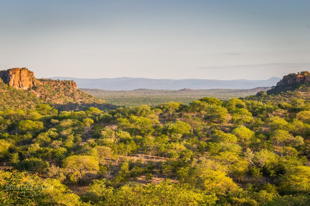 Ung dansk pige har mistet livet efter fald i Sydafrika