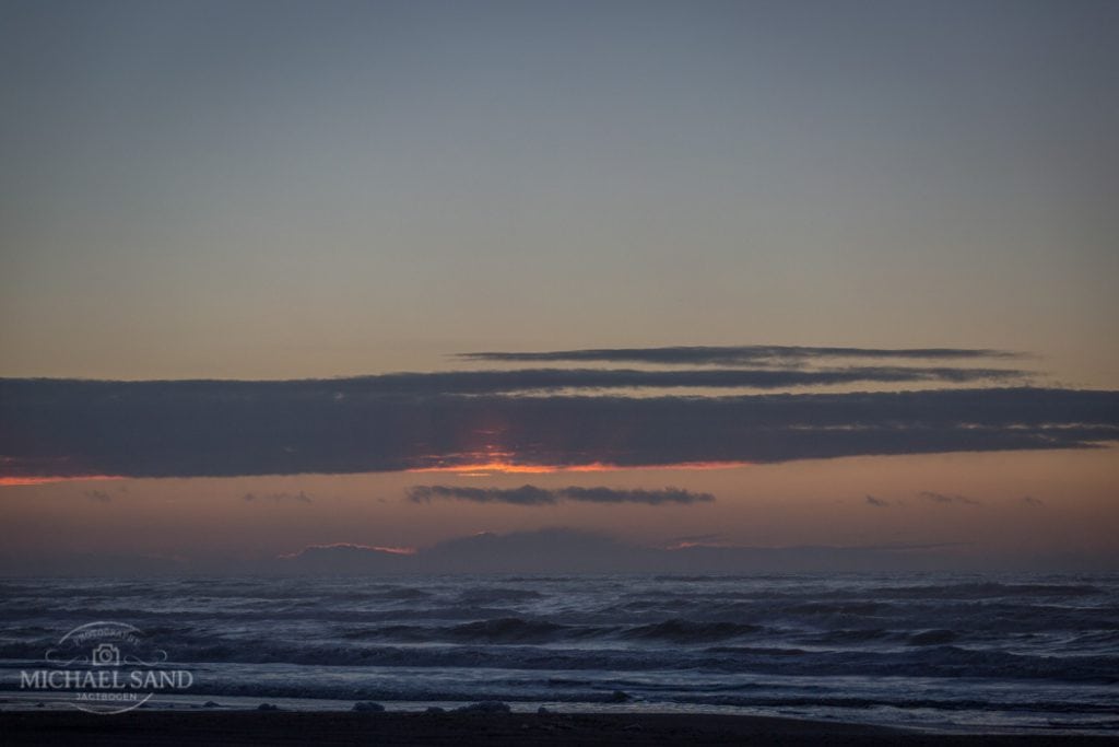 Næbhval strandet ved Vestkystetn