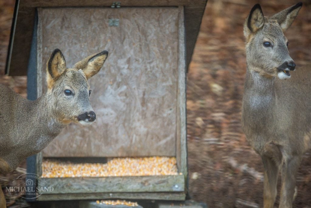 Trykimprægnering kan nu være miljøvenlig