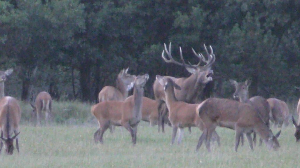Egon Bennetsen giver svar på slet skjult tiltale Egon Bennetsen giver svar på slet skjult tiltale