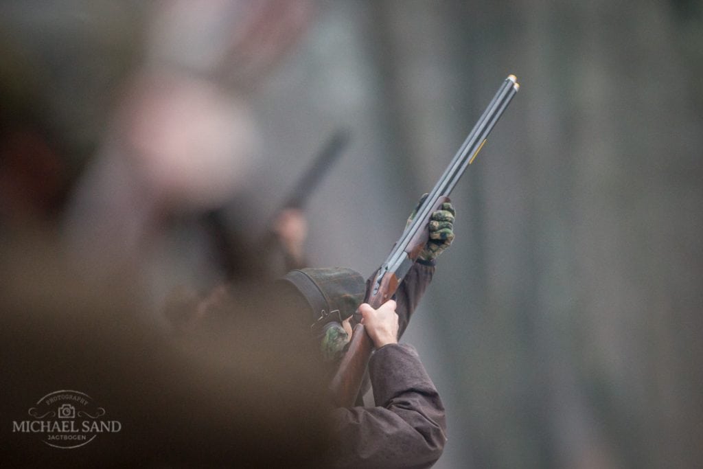 Jagtprøve atter i kritisk søgelys