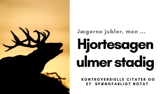 Fra uønsket julegave til tikkende nytårsbombe